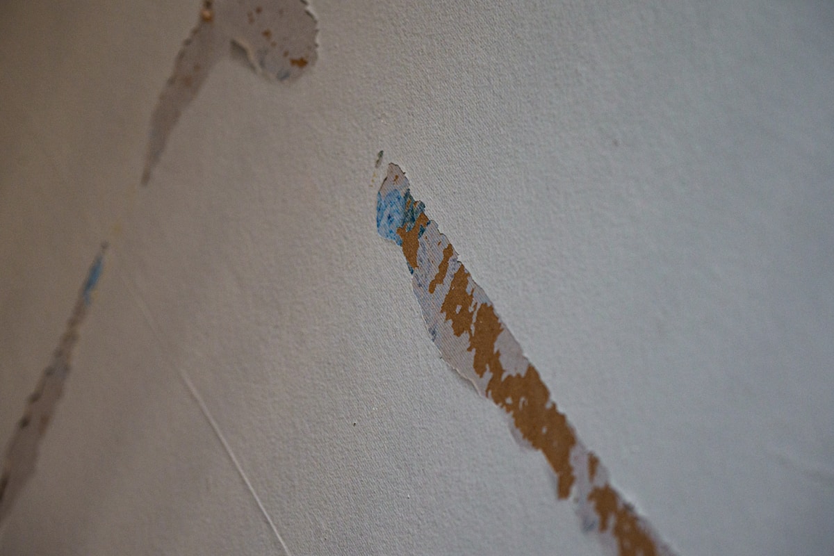 Water Extraction service in Gaithersburg, MD